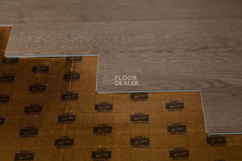 Tarkett Funky House TOM фото 2 | FLOORDEALER